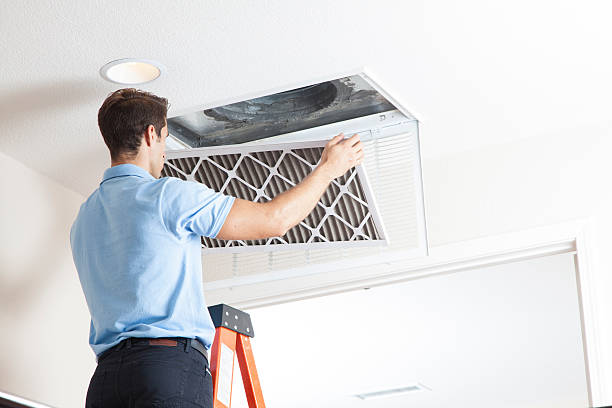 Best Air Filters and Purifiers in Springfield, NJ